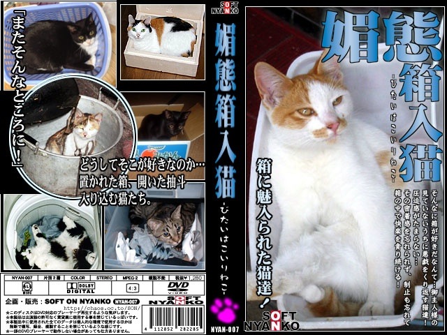 Japanese Cat Porn