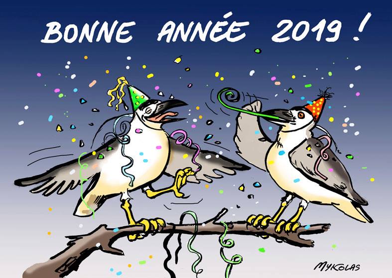 best of Annee 2019 bonne