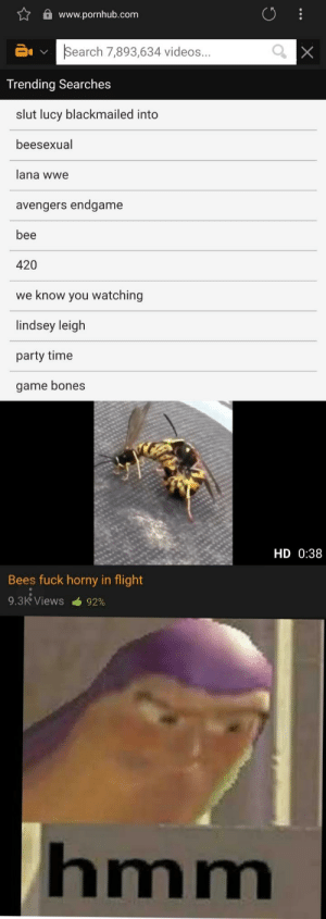 Bombay reccomend bees fuck horny flight