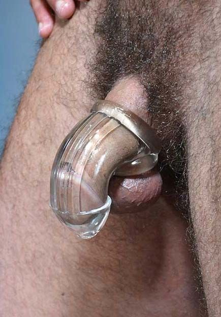 Chastity cage review