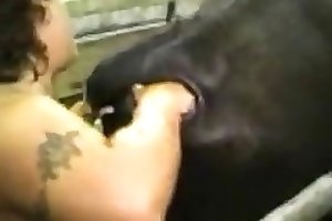 Cow shit porn