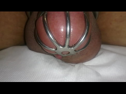 Chastity cage slave anal vibrator