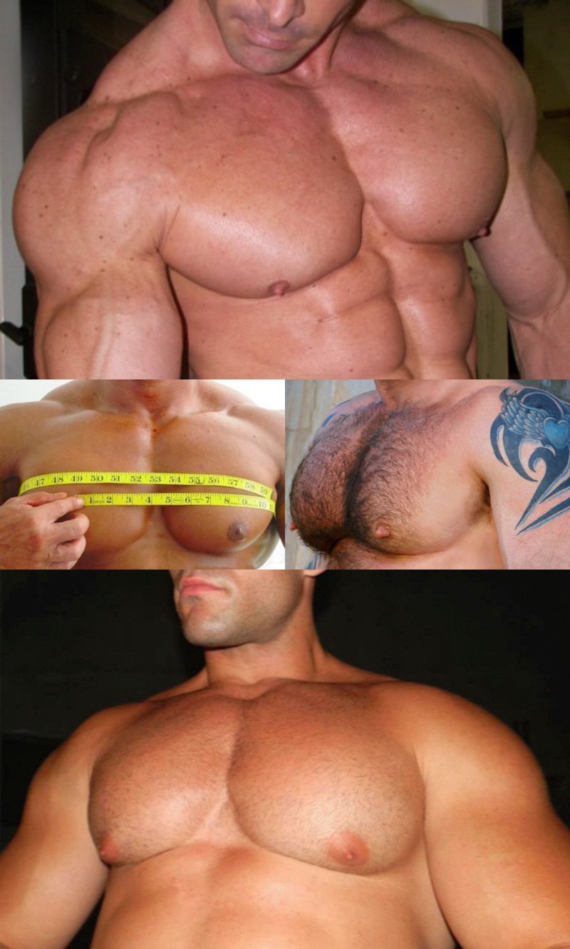 Gr8 B. reccomend body builders full nipple pecs